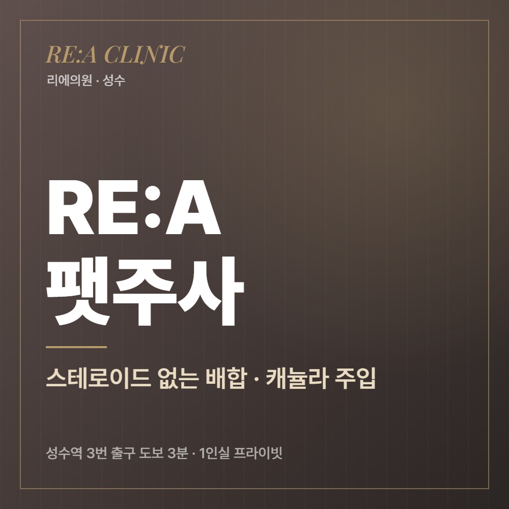 RE:A 팻주사 리에의원 성수피부과